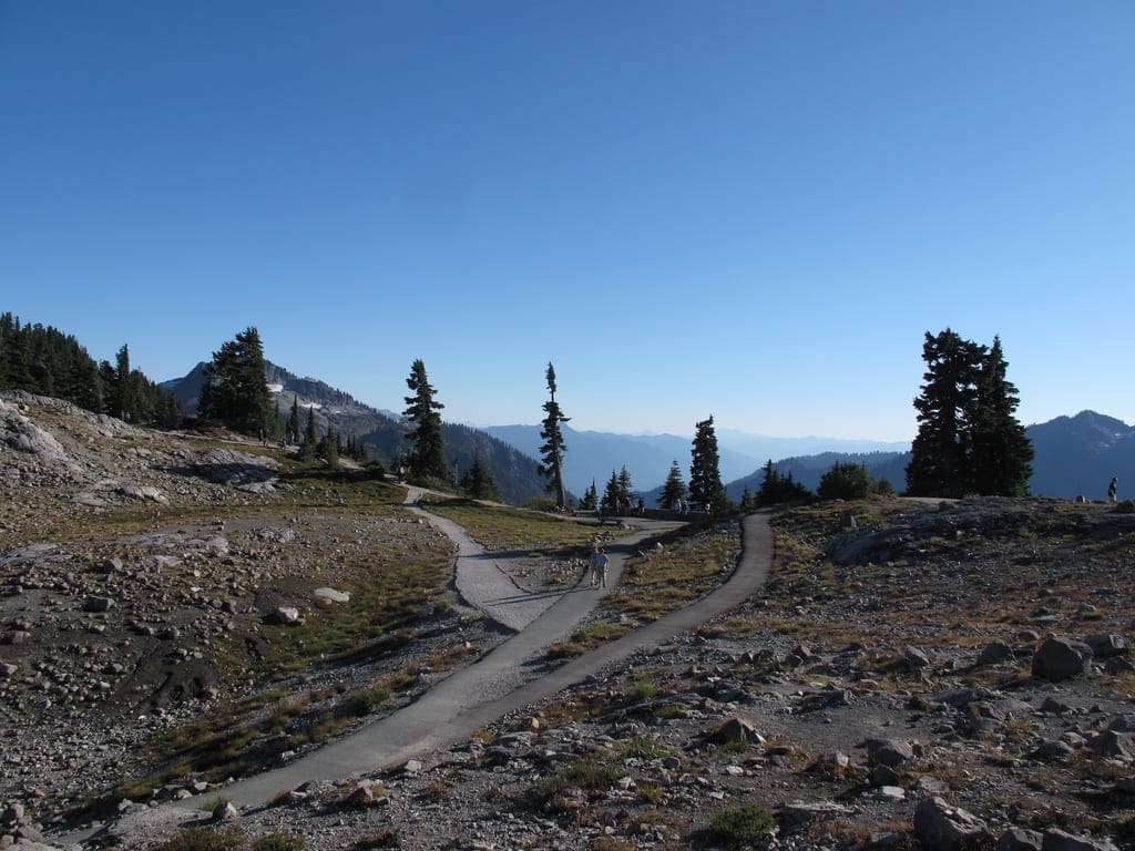 many paths