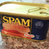 Spam/Non-Spam Discrimination