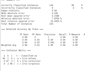 Just the results of the J48 algorithm on the Iris flower dataset in Weka