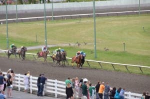 machine learning horse racing