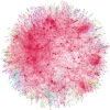 Exploratory Data Analysis