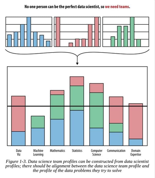 Profile of a Data Science Team