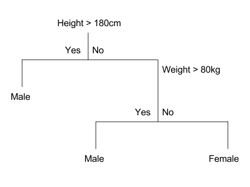 Example Decision Tree