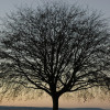 Classification And Regression Trees for Machine Learning