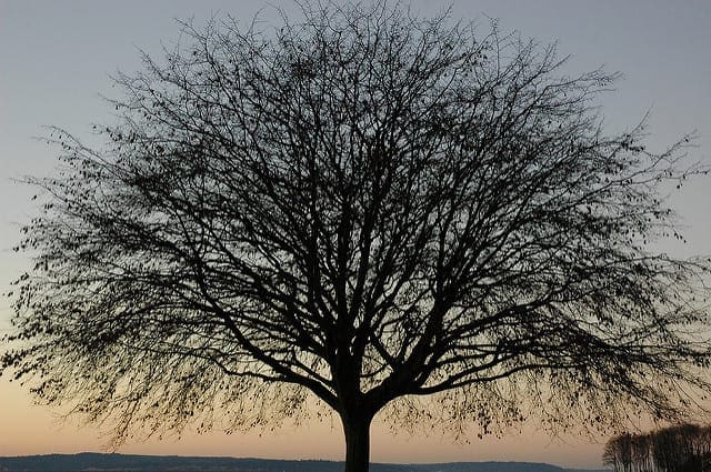 Classification And Regression Trees for Machine Learning