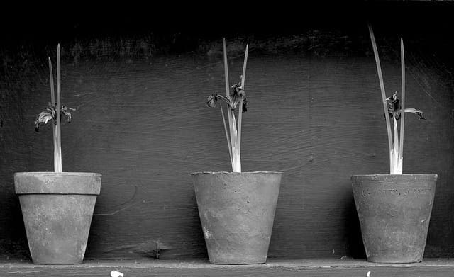 Simple Linear Regression Tutorial for Machine Learning