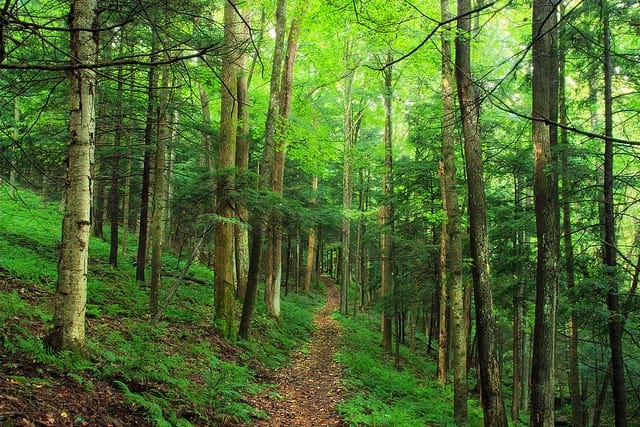 Bagging and Random Forest Ensemble Algorithms for Machine Learning