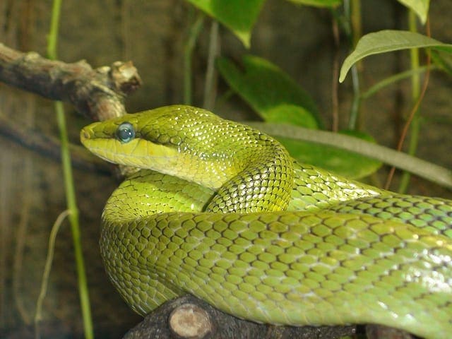 Crash Course in Python for Machine Learning Developers