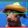 Automatic Object Detection