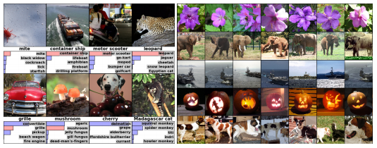 Example of Object Classification