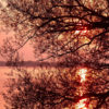 How to Configure the Gradient Boosting Algorithm How to Configure the Gradient Boosting Algorithm
