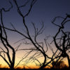Data Preparation for Gradient Boosting with XGBoost in Python