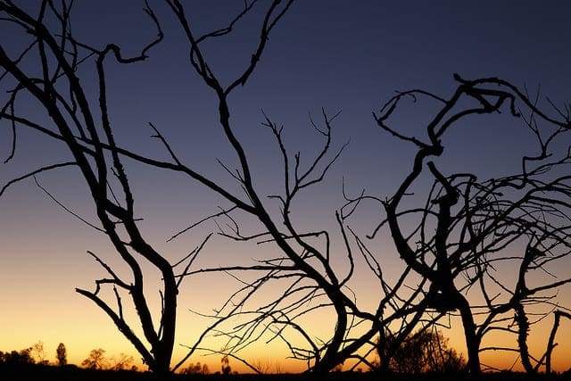 Data Preparation for Gradient Boosting with XGBoost in Python