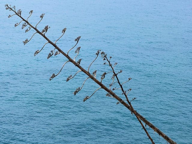 Feature Importance and Feature Selection With XGBoost in Python