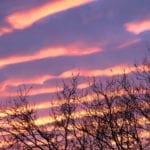 How to Save Your Machine Learning Model and Make Predictions in Weka