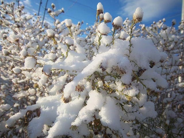 How to Identify and Remove Seasonality from Time Series Data with Python