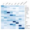 Attentional Interpretation of Words in the Input Document to the Output Summary
