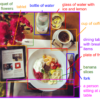 Example of annotation regions of an image with descriptions