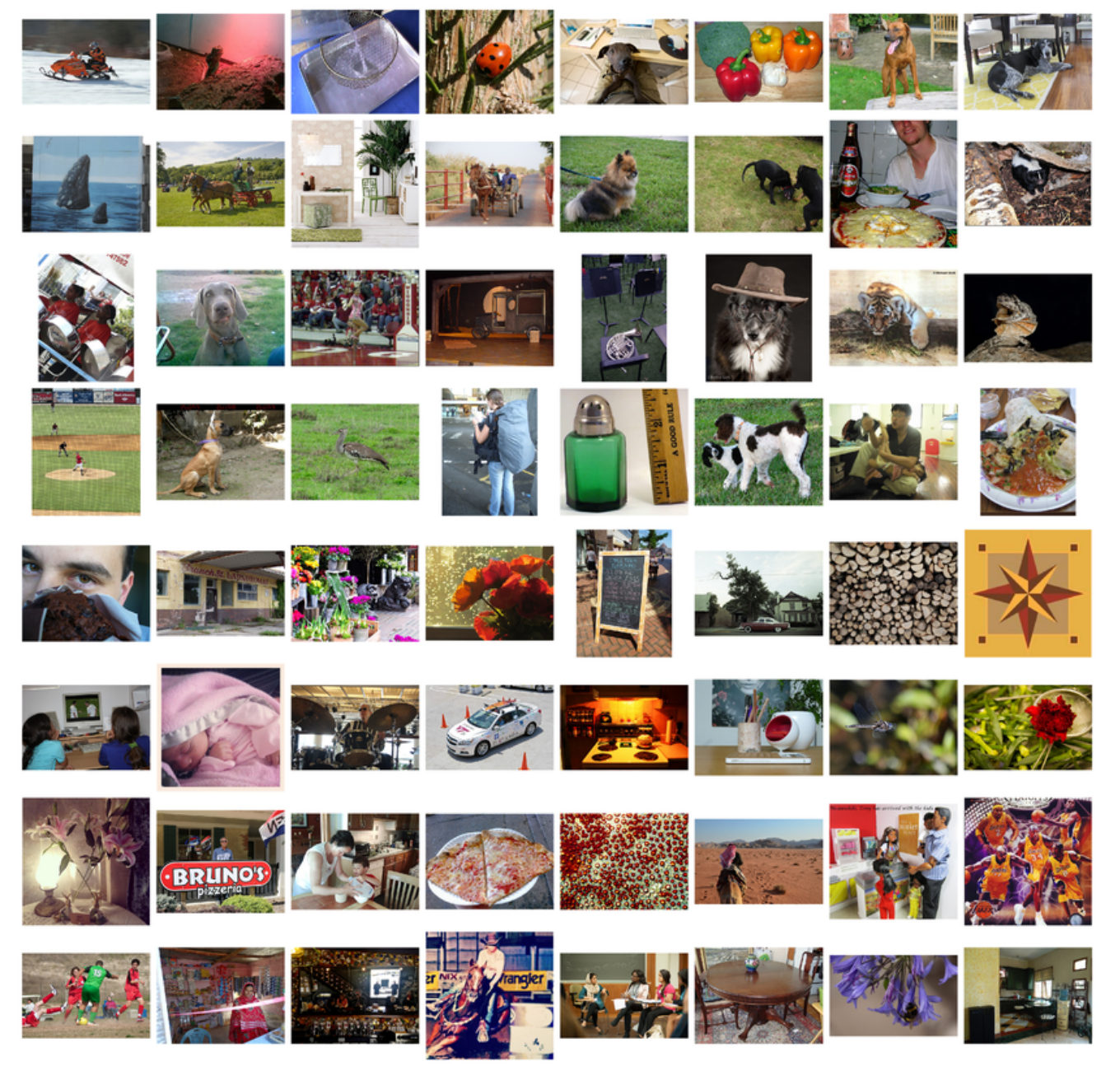Sample of Images from the ImageNet Dataset used in the ILSVRC Challenge