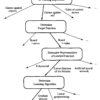 Depiction of Choices in Designing a Checker-Playing Learning System