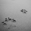 A Gentle Introduction to Matrix Operations for Machine Learning