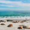 Machine Learning Development Environment