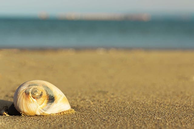 A Gentle Introduction to the Law of Large Numbers in Machine Learning