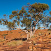 Confidence Intervals for Machine Learning