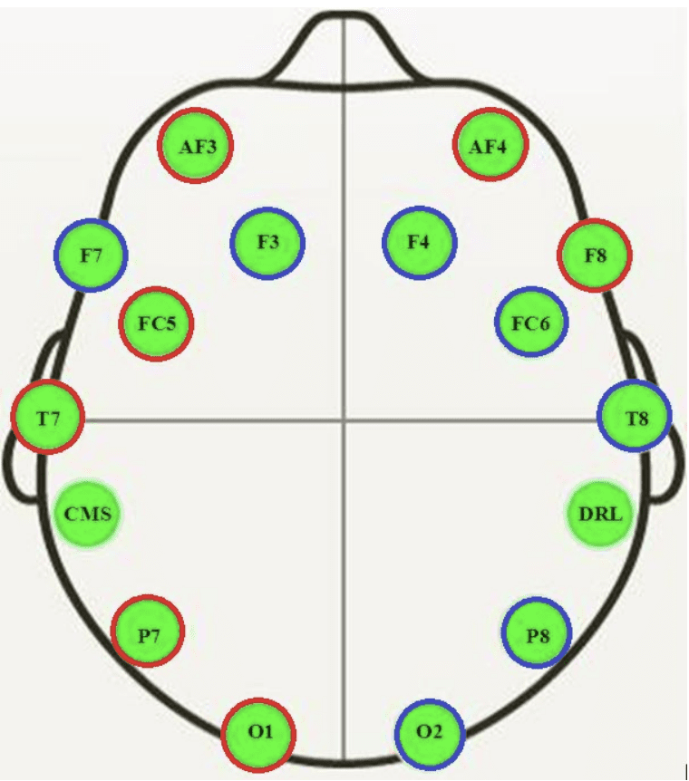Cartoon of where EEG sensors were located on the subject