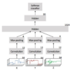 Depiction of CNN Model for Accelerompter Data