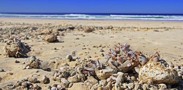 Statistics for Machine Learning (7-Day Mini-Course)