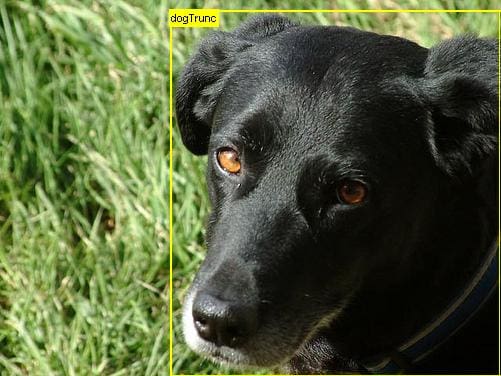 Example of Image Classification With Localization of a Dog from VOC 2012