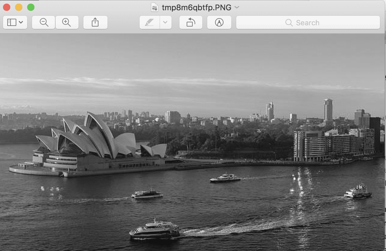 Example of Grayscale Version of Photograph
