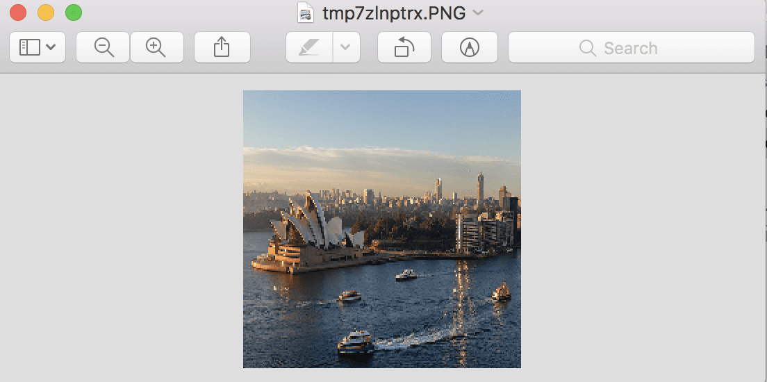 Resized Photograph That Does Not Preserve the Original Aspect Ratio