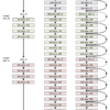 Architecture of the Residual Network for Object Photo Classification