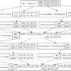 Plot of Convolutional Neural Network Architecture With a Efficient Inception Module