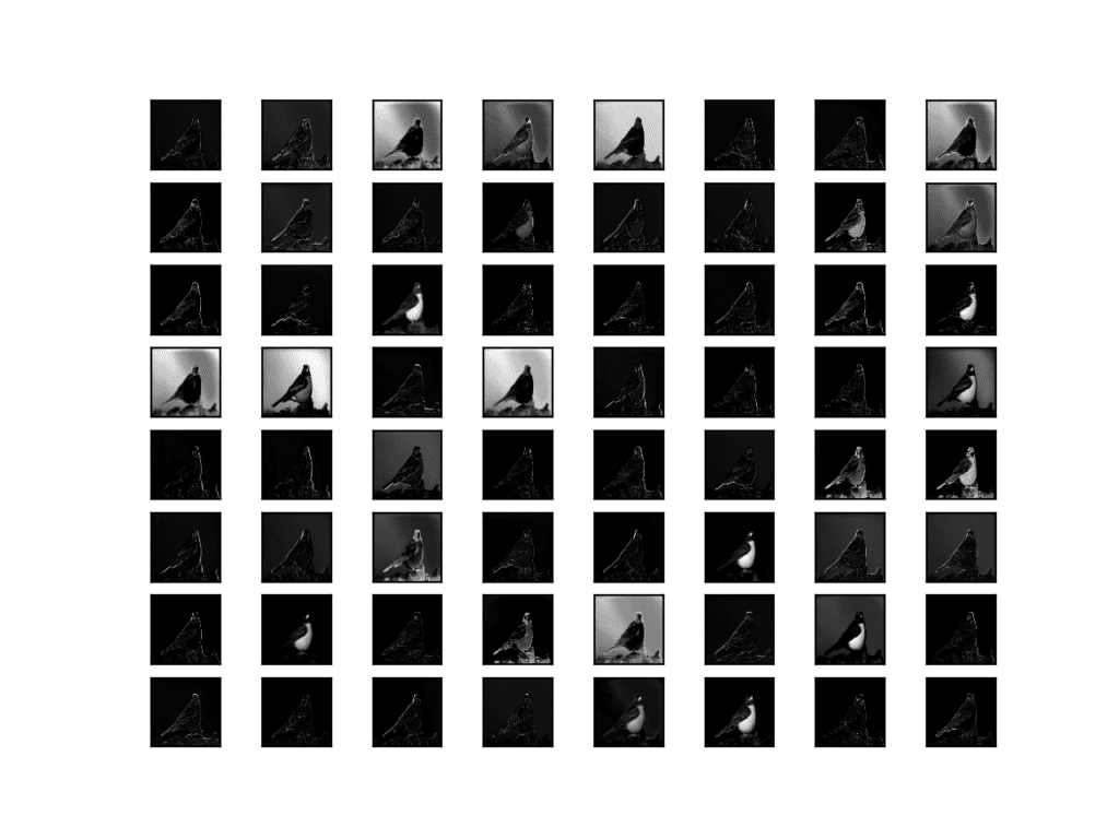 Visualization of the Feature Maps Extracted From Block 1 in the VGG16 Model