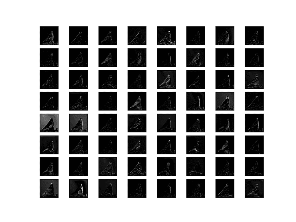 Visualization of the Feature Maps Extracted From Block 2 in the VGG16 Model