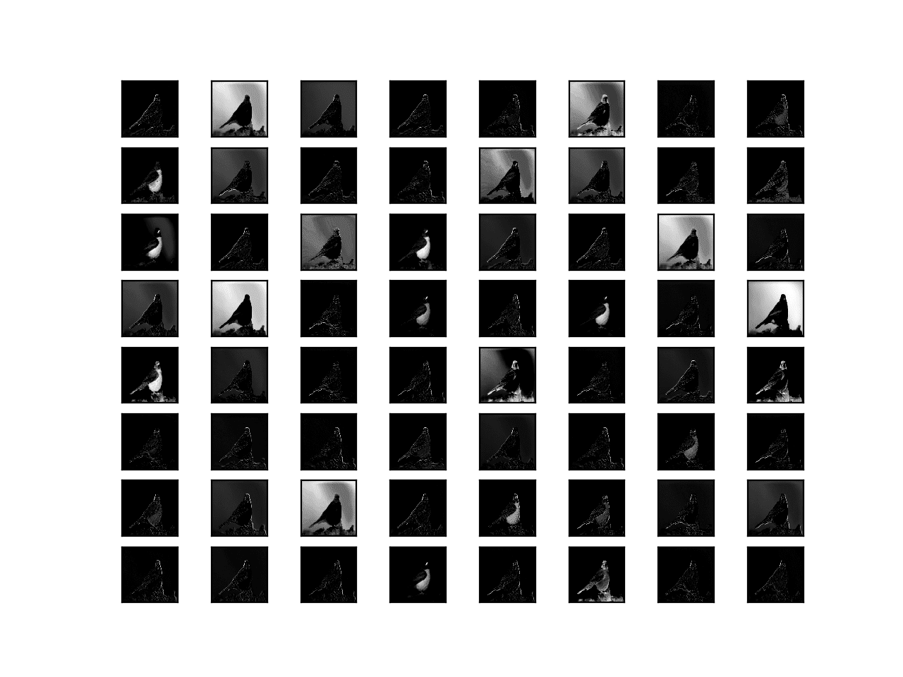Visualization of the Feature Maps Extracted From the First Convolutional Layer in the VGG16 Model