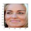 Face Detected From a Photograph of Sharon Stone Using an MTCNN Model