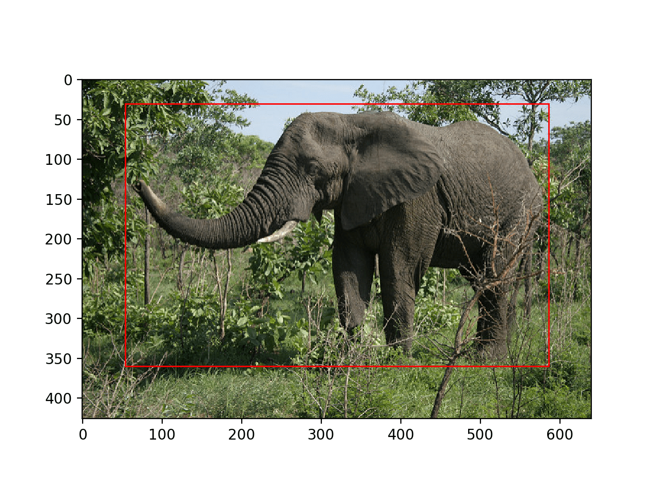 Photograph of an Elephant With All Objects Localized With a Bounding Box