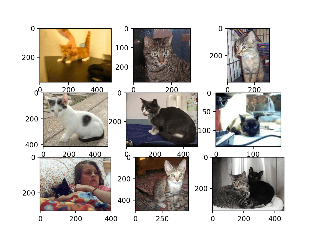 Plot of the First Nine Photos of Cats in the Dogs vs Cats Dataset