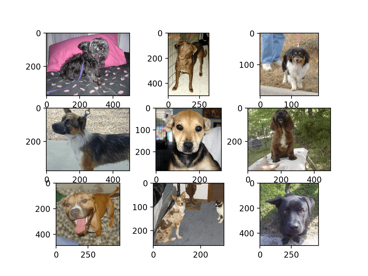 Plot of the First Nine Photos of Dogs in the Dogs vs Cats Dataset