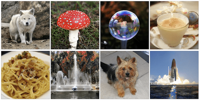 Examples of Large High-Quality 512x512 Class-Conditional Images Generated by BigGAN