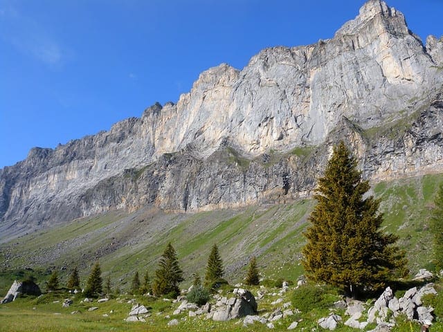 A Gentle Introduction to Cross-Entropy for Machine Learning