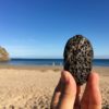 A Gentle Introduction to Stochastic in Machine Learning