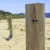How to Develop Multioutput Regression Models in Python