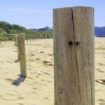 How to Develop Multioutput Regression Models in Python