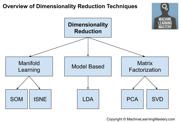 Overview of Dimensionality Reduction Techniques