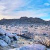 What Is Meta-Learning in Machine Learning?